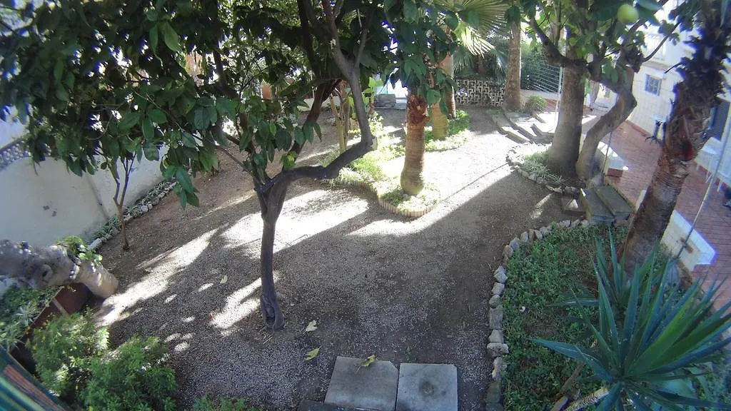 La Mimosa Guesthouse Palma de Mallorca Spain