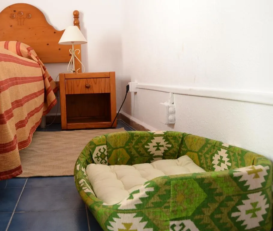 La Mimosa Guesthouse Palma de Mallorca Guest house